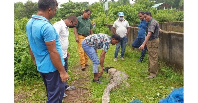 Rescued crocodile gets new life at Bangabandhu Safari Park