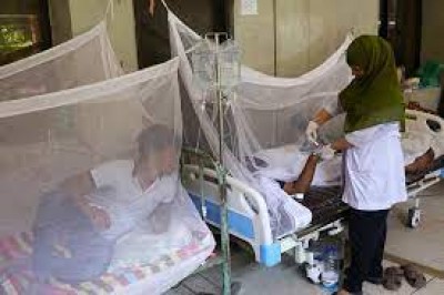 Dengue infected more 213 patients hospitalized in 24 hrs
