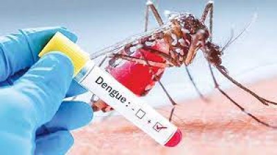 Worried over dengue situation: DGHS