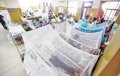 81 dengue cases reported in 24 hrs: DGHS