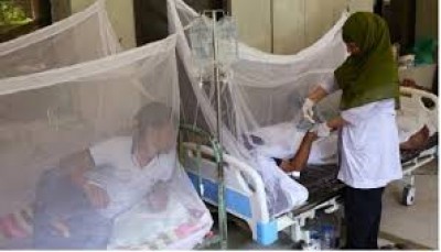 Alarming Dengue surge: 196 more hospitalised in 24 hrs