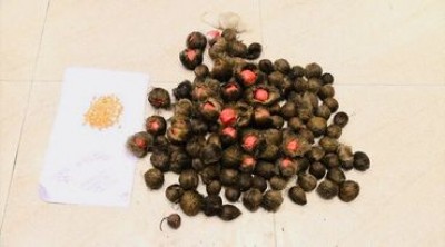 Yaba recovered from inside the betel nut in Ctg