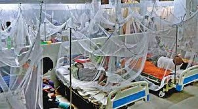 Dengue:  258 more hospitalized in 24 hrs