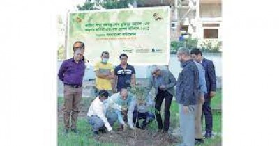 LankaBangla tree plantation programme held at Sheikh Hasina Software Park