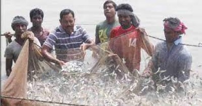 How Jashore’s fisheries output grew in the midst of a pandemic