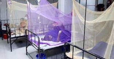 Uptrend in Dengue cases: 226 more hospitalized in 24 hrs