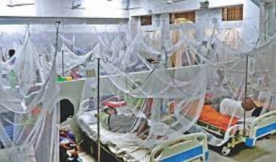 194 more dengue Infected patients admitted to hospitals in 24 hrs