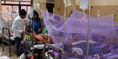 24 Hours 188 new dengue patients admitted in hospitals: DGHS