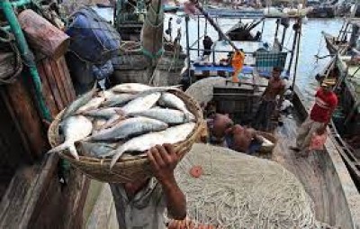 Hilsha fishing ban executed in Gaibandha