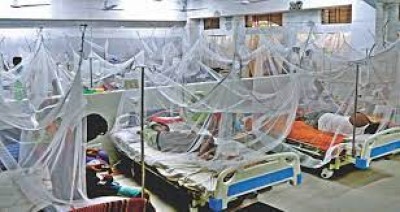 Alarming Dengue surge: 264 more hospitalised in 24 hrs