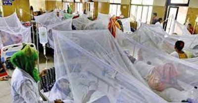 24 hrs more 224 Dengue patients hospitalized in Bangladesh